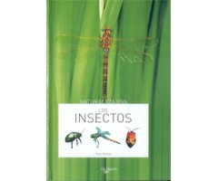 LOS INSECTOS