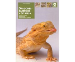DRAGONES BARBUDOS Y DE AGUA. VIDA EN EL TERRARIO, REPRODUCCIÓN, ENFERMEDADES Y CUIDADOS