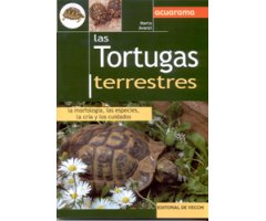 LAS TORTUGAS TERRESTRES. LA MORFOLOGÍA, LAS ESPECIES, LA CRÍA Y LOS CUIDADOS
