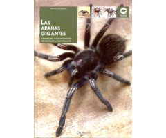LAS ARAÑAS GIGANTES. MORFOLOGÍA , COMPORTAMIENTO, ALIMENTACIÓN Y REPRODUCCIÓN