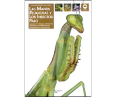 LAS MANTIS RELIGIOSAS Y LOS INSECTOS PALO