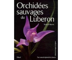 ORCHIDÉES SAUVAGES DU LUBERON 2