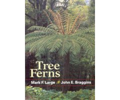TREE FERNS