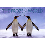 THE FROZEN WORLD. A PANORAMIC VISION