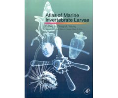 ATLAS OF MARINE INVERTEBRATE LARVAE