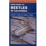 FIELD GUIDE TO BEETLES OF CALIFORNIA