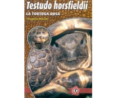 TESTUDO HORSFIELDII. LA TORTUGA RUSA