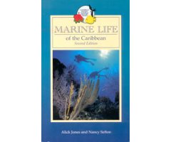 MARINE LIFE OF THE CARIBBEAN