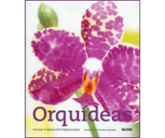 ORQUÍDEAS