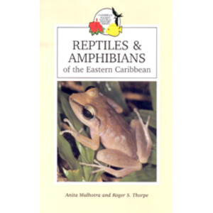 REPTILES & AMPHIBIANS OF THE EASTERN CARIBBEAN