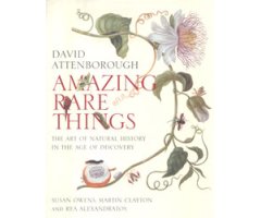 AMAZING RARE THINGS