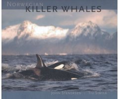 NORWEGIAN KILLER WHALES