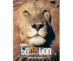 BBC BIG CAT DIARY LION.   