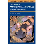 FIELD GUIDE TO AMPHIBIANS AND REPTILES OF THE SAN DIEGO REGION