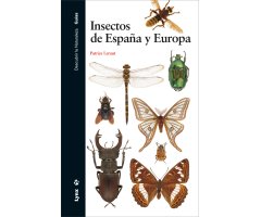 INSECTOS DE ESPAÑA Y EUROPA  