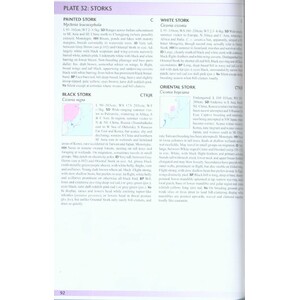 HELM FIELD GUIDES. BIRDS OF EAST ASIA 3