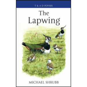 THE LAPWING