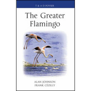 THE GREATER FLAMINGO