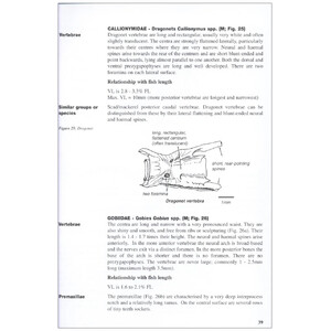 A GUIDE TO THE IDENTIFICATION OF PREY REMAINS IN OTTER SPRAINT 3