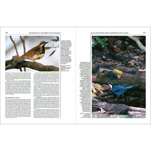 HANDBOOK OF THE BIRDS OF THE WORLD, VOL. 12. PICATHARTES TO TITS AND CHICKADEES_1