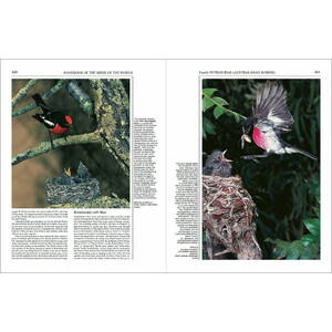 HANDBOOK OF THE BIRDS OF THE WORLD, VOL. 12. PICATHARTES TO TITS AND CHICKADEES 3
