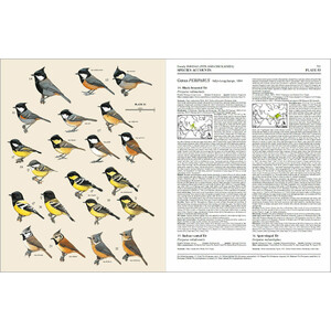 HANDBOOK OF THE BIRDS OF THE WORLD, VOL. 12. PICATHARTES TO TITS AND CHICKADEES 4