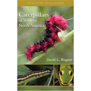 CATERPILLARS OF EASTERN NORTH AMERICA. A GUIDE TO IDENTIFICATION AND NATURAL HISTORY