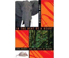 IN THE BEAT OF A HEART. LIFE, ENERGY, AND THE UNITY OF NATURE