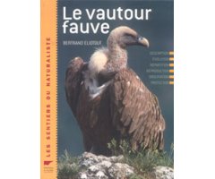 LE VAUTOUR FAUVE