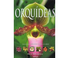 ORQUÍDEAS