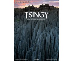 TSINGY. STONE FOREST. MADAGASCAR