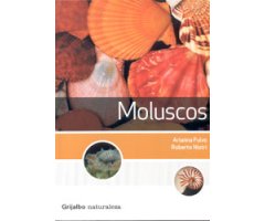 MOLUSCOS