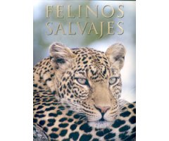 FELINOS SALVAJES