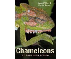 CHAMELEONS OF SOUTHERN AFRICA
