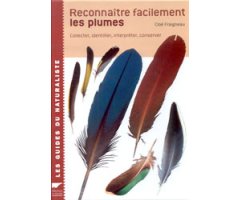 RECONNAÎTRE FACILEMENT LES PLUMES. COLLECTER, IDENTIFIER, INTERPRÉTER, CONSERVER 2