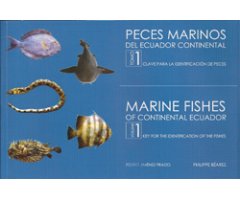 PECES MARINOS DEL ECUADOR CONTINENTAL. TOMO I. GUÍA DE ESPECIES