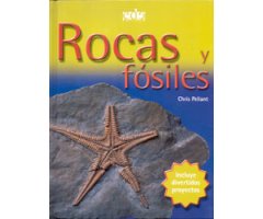 ROCAS Y FÓSILES 