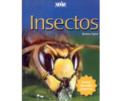 INSECTOS