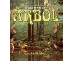 EL CICLO DE VIDA DEL ÁRBOL