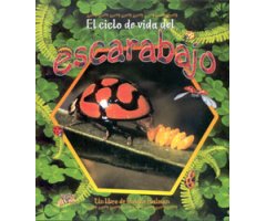 EL CICLO DE VIDA DEL ESCARABAJO