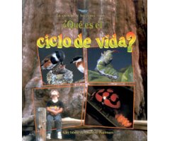 ¿QUÉ ES EL CICLO DE VIDA?
