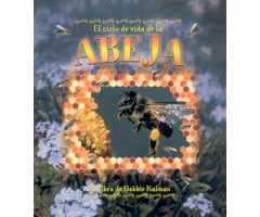EL CICLO DE VIDA  DE LA ABEJA