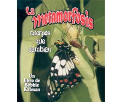 LA METAMORFOSIS. CUERPOS QUE CAMBIAN