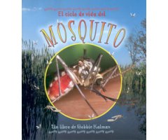 EL CICLO DE VIDA DEL MOSQUITO