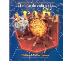 EL CICLO DE VIDA DE LA ARAÑA
