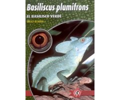 BASILISCUS PLUMIFRONS. EL BASILISCO VERDE