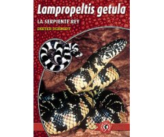 LAMPROPELTIS GETULA. LA SERPIENTE REY
