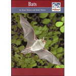 BATS