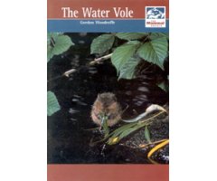 THE WATER VOLE