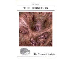 THE HEDGEHOG
